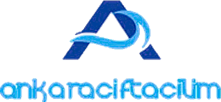Bakı Çift Açılım Logo